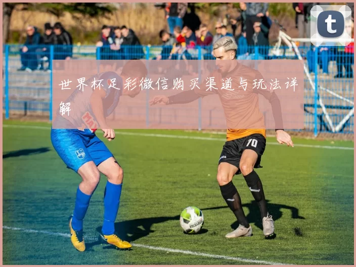 世界杯足彩微信购买渠道与玩法详解