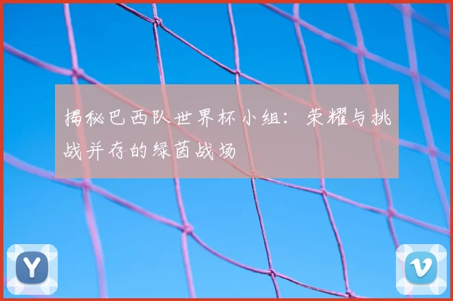揭秘巴西队世界杯小组:荣耀与挑战并存的绿茵战场