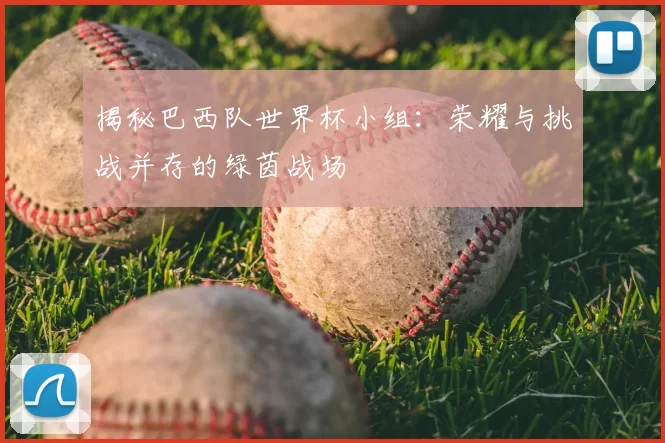 揭秘巴西队世界杯小组:荣耀与挑战并存的绿茵战场
