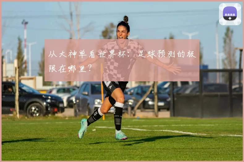 从大神单看世界杯：足球预测的极限在哪里？