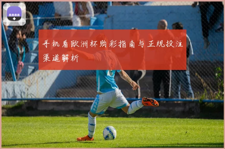 手机看欧洲杯购彩指南与正规投注渠道解析