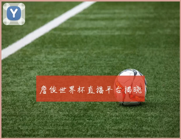 詹俊世界杯直播平台揭晓