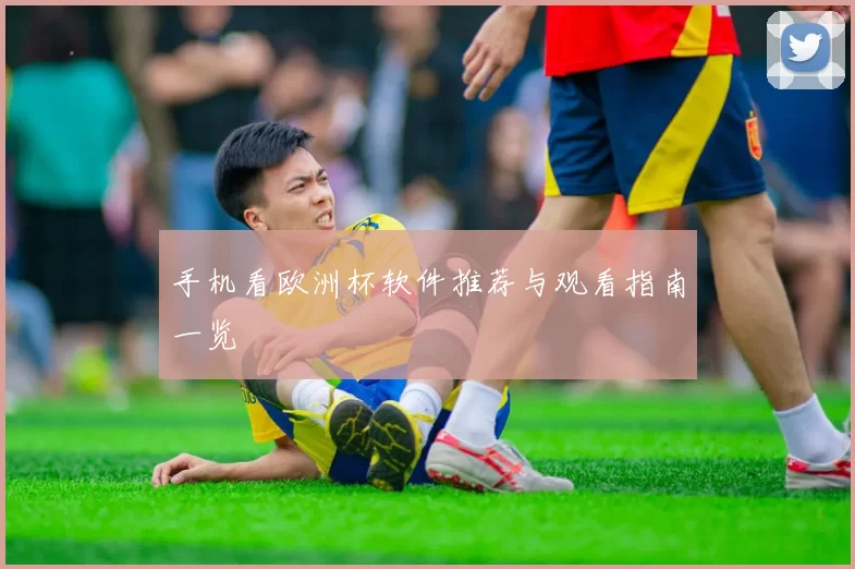 手机看欧洲杯软件推荐与观看指南一览