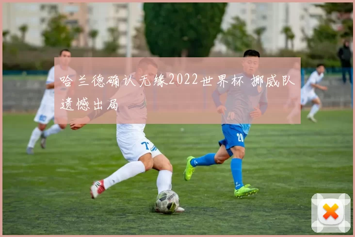 哈兰德确认无缘2022世界杯 挪威队遗憾出局