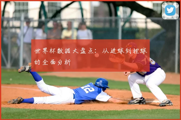 世界杯数据大盘点:从进球到控球的全面分析