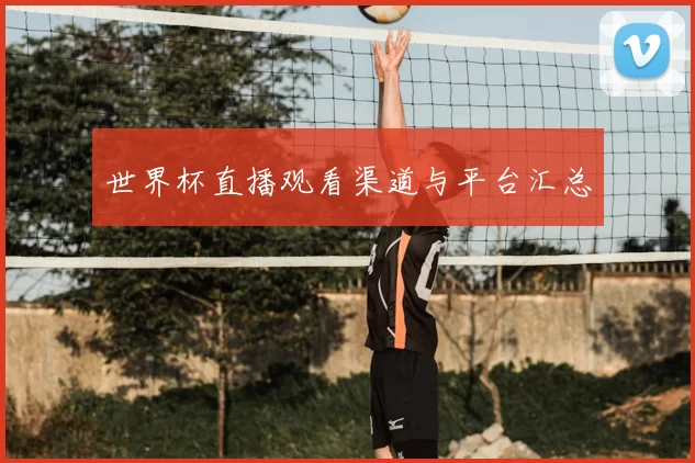 世界杯直播观看渠道与平台汇总