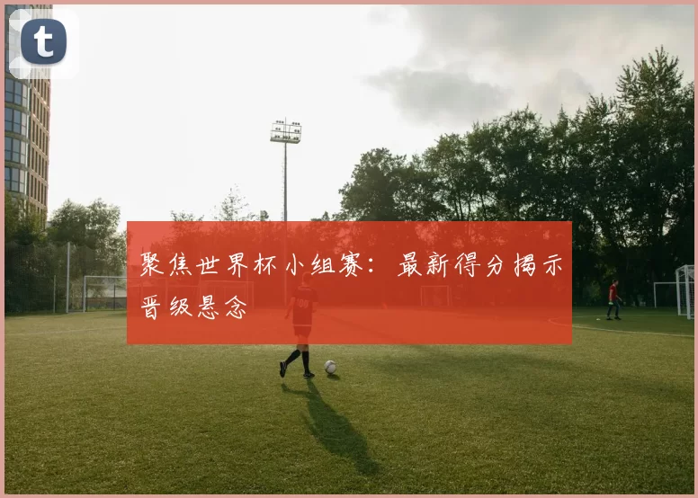 聚焦世界杯小组赛：最新得分揭示晋级悬念