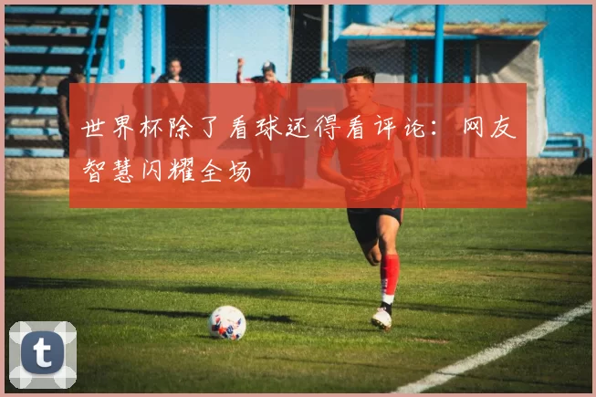 世界杯除了看球还得看评论：网友智慧闪耀全场