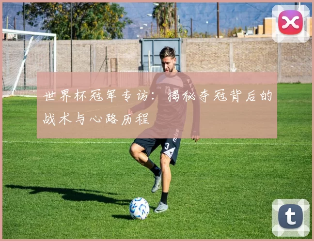 世界杯冠军专访：揭秘夺冠背后的战术与心路历程