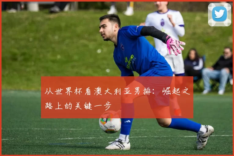 从世界杯看澳大利亚男排：崛起之路上的关键一步