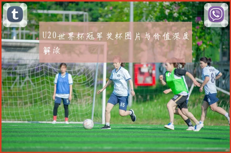 U20世界杯冠军奖杯图片与价值深度解读