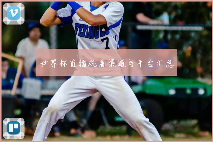 世界杯直播观看渠道与平台汇总