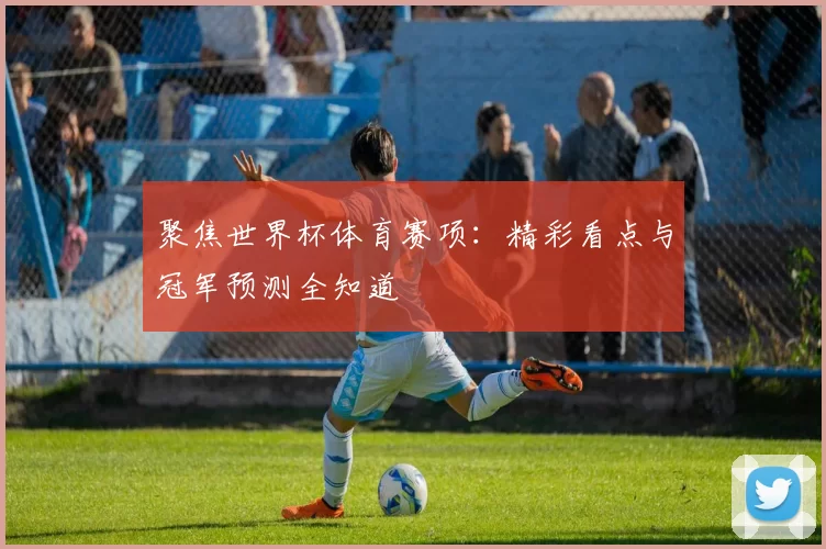 聚焦世界杯体育赛项：精彩看点与冠军预测全知道