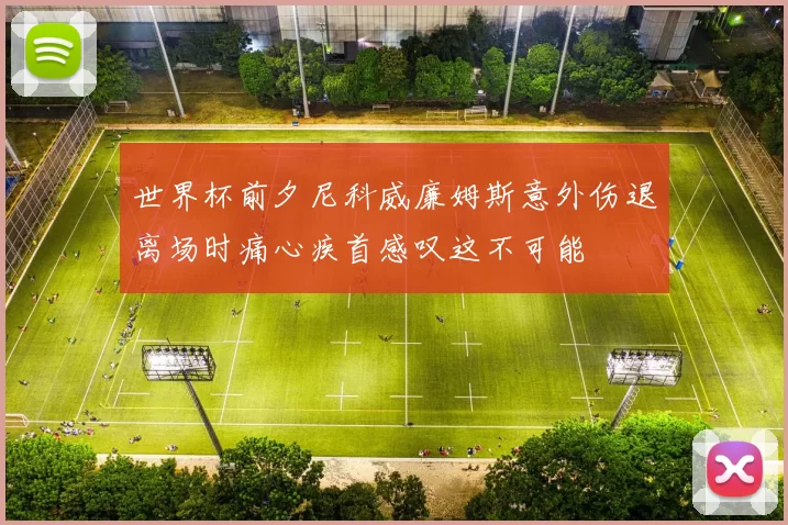世界杯前夕尼科威廉姆斯意外伤退离场时痛心疾首感叹这不可能
